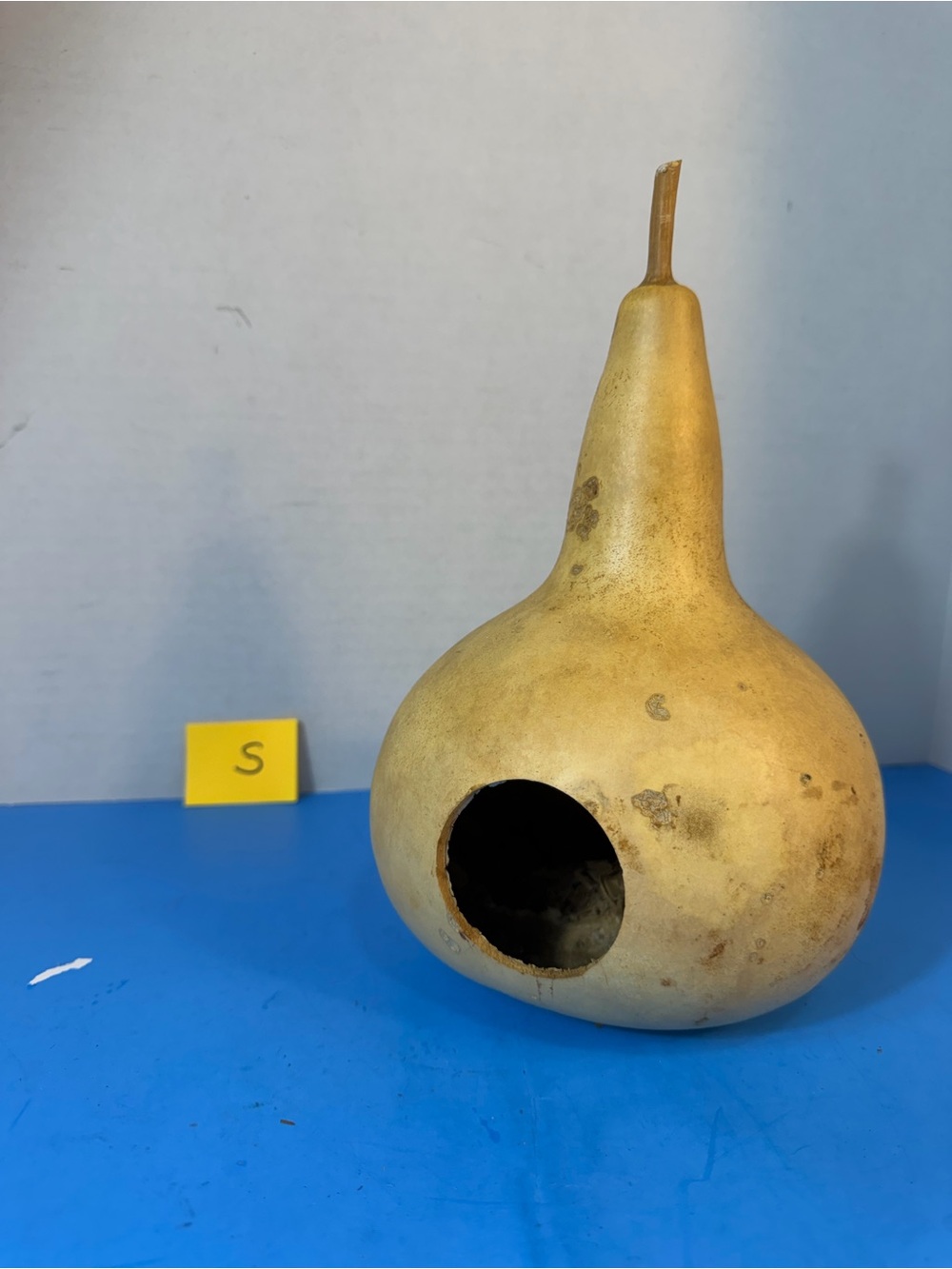 a dried gourd converted into a birdhouse with an entrance for birds